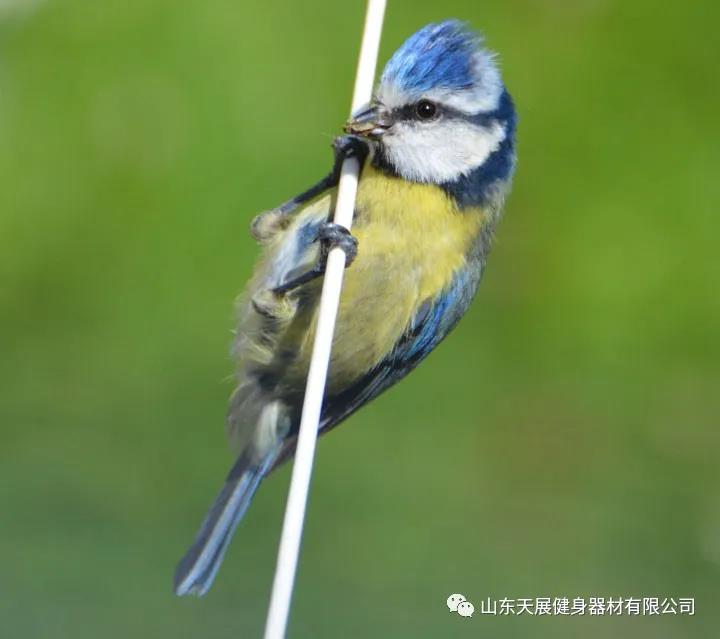 微信圖片_20210820144542.jpg 微信圖片_20210820144542.jpg