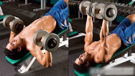 如何用啞鈴強健胸肌？